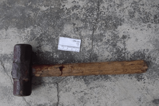 Dùng búa đánh ông nội tử vong rồi phủ cỏ che giấu