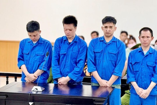 Chung nhau bọc ma túy, chia nhau 40 năm tù