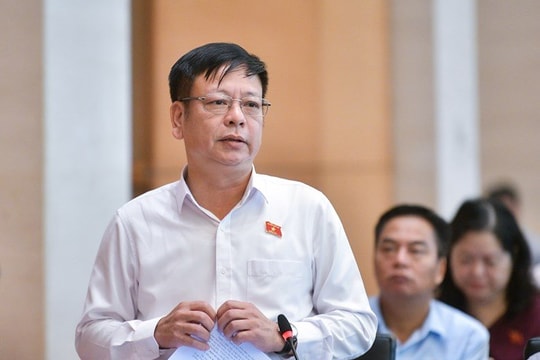 Đề nghị không áp thuế VAT với mặt hàng phân bón