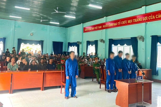 Lĩnh án vì khai thác lâm sản trái phép