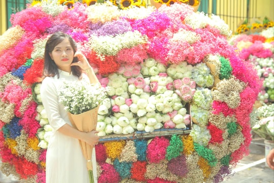 Phố Phan Đình Phùng tấp nập người và hoa