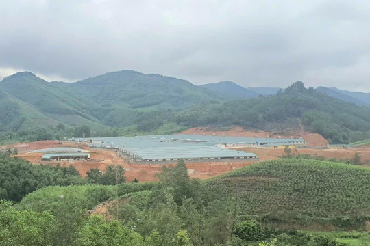 Đình Lập (Lạng Sơn): Thực hư mùi hôi trong không khí xuất phát từ trại lợn Lâm Ca