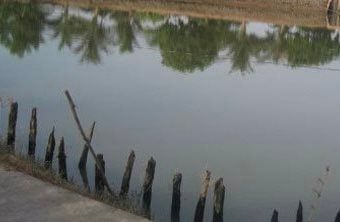 Thương tâm bé gái 5 tuổi đạp xe ngã xuống ao tử vong