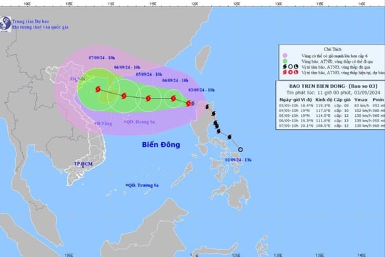 Thủ tướng chỉ đạo khẩn trương ứng phó bão Yagi