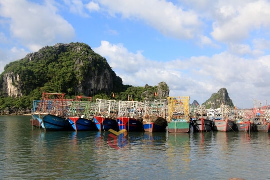 Quảng Ninh ra công điện chủ động ứng phó với bão số 3