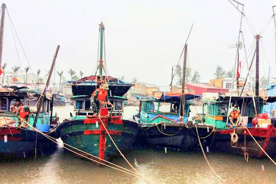 Hải Phòng: Chỉ đạo tuyệt đối không lơ là, chủ quan với bão số 3