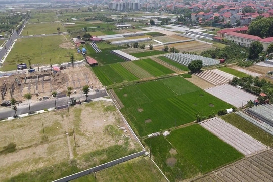 Chống lợi dụng đấu giá đất để đầu cơ, thổi giá