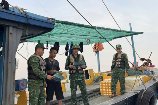 Quảng Ninh hoãn các cuộc họp không thật cấp bách, tập trung ứng phó bão số 3