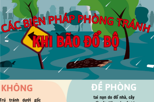 Các biện pháp phòng tránh khi bão đổ bộ