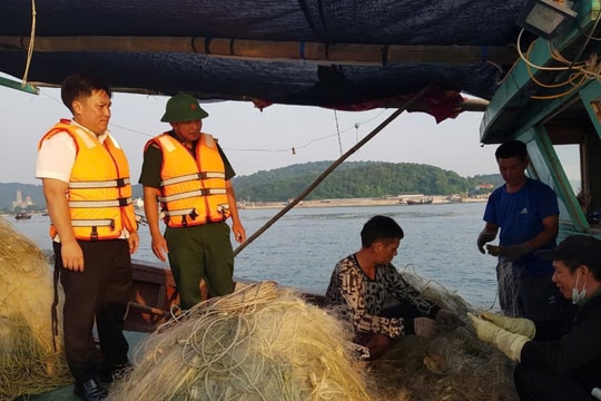 Bộ đội biên phòng Quảng Ninh triển khai các biện pháp ứng phó bão số 3 (Yagi)