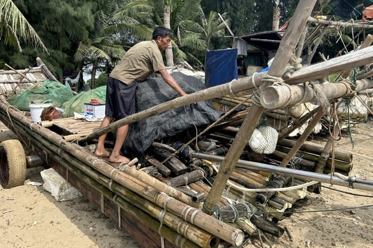 Thanh Hóa cấm biển, cây đổ la liệt sau mưa lớn
