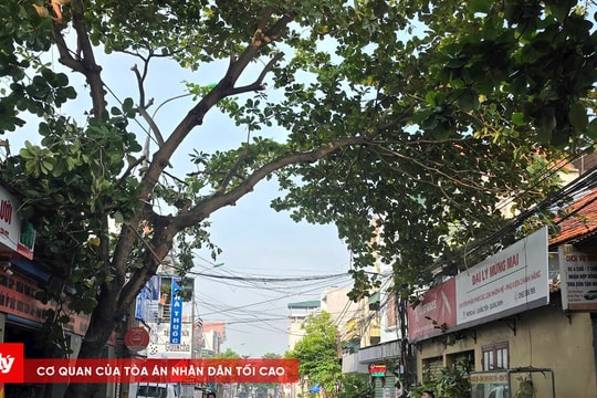 Thời tiết Quảng Ninh trước giờ siêu bão YAGI đổ bộ