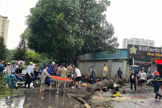 Hoàn cảnh thương tâm của nạn nhân bị cây đè tử vong