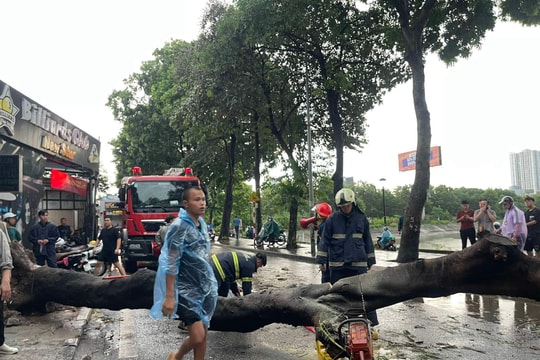 Ảnh hưởng đầu tiên do siêu bão Yagi gây ra tại Hà Nội làm 2 người thương vong