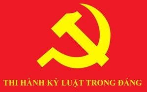 Bộ Chính trị, Ban Bí thư xem xét, thi hành kỷ luật tổ chức đảng, đảng viên
