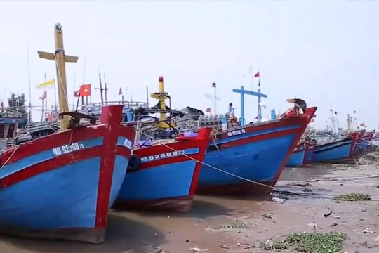 Nam Định: Hơn 1.700 phương tiện tàu, thuyền vào nơi tránh trú bão an toàn