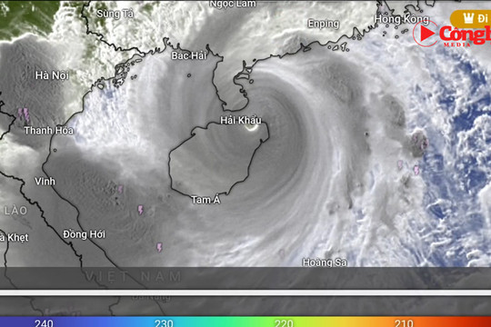 Siêu bão Yagi chỉ còn cách Quảng Ninh chưa đến 400km