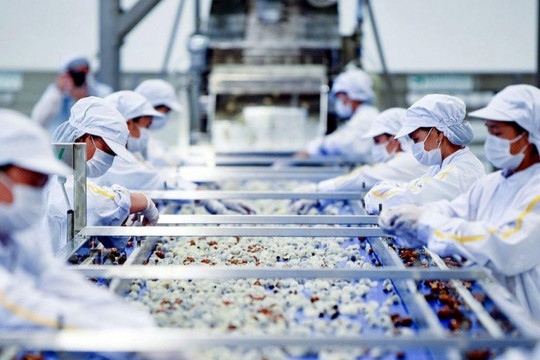 Việt Nam xuất siêu hơn 19 tỷ USD