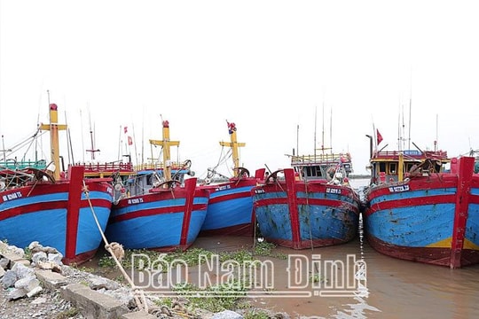 Nam Định ứng phó với bão số 3