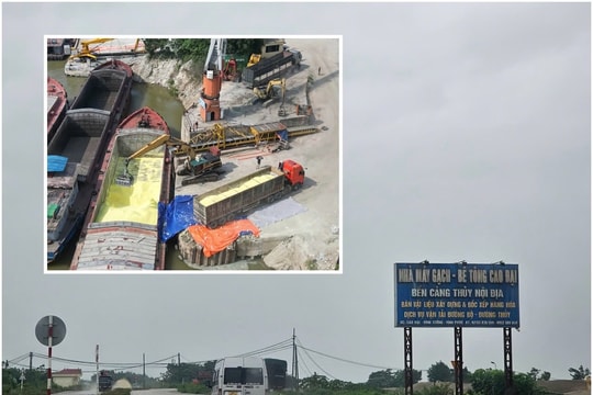 Bất chấp biển cấm, xe quá tải “quần phá” đê tả sông Phó Đáy