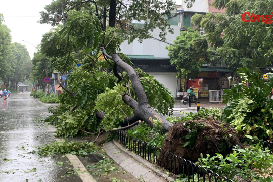 Chủ tịch UBND TP Hà Nội khuyến cáo người dân không ra khỏi nhà để tránh rủi ro thiên tai
