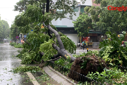 Hà Nội thấp thỏm trước giờ bão vào