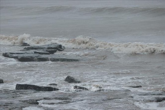 VIDEO: Hải Phòng bắt đầu có gió mạnh kèm theo mưa do bão số 3