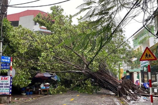 Cơ quan chức năng bác bỏ thông tin "bão số 3 đổi hướng"