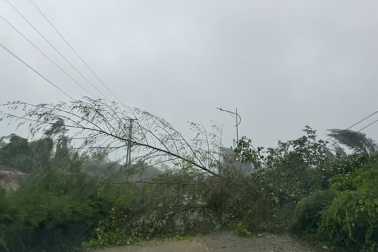 Bão số 3 đã gây thiệt hại bước đầu cho huyện đảo Cô Tô