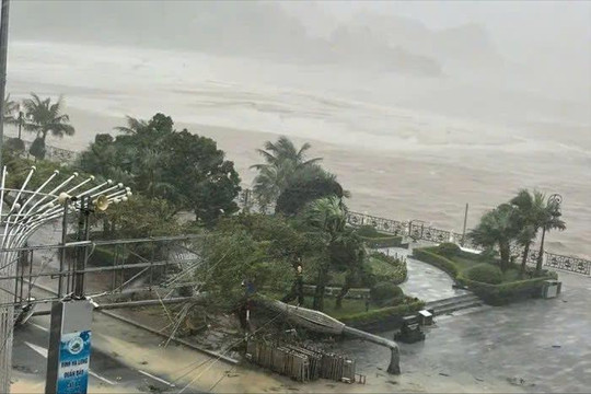 Hải Phòng: 1 tử vong, 20 người bị thương do siêu bão