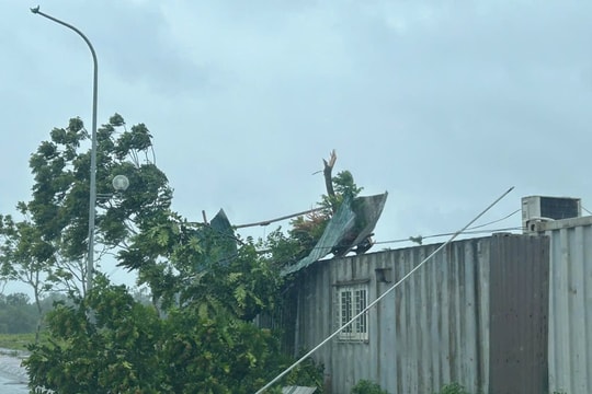 4 người chết, 78 người bị thương do bão số 3