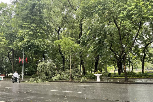 Khuyến cáo khi lưu thông trong mưa bão