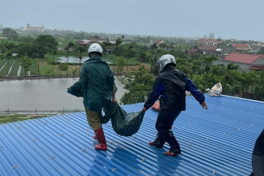 Nam Định tích cực chống bão số 3