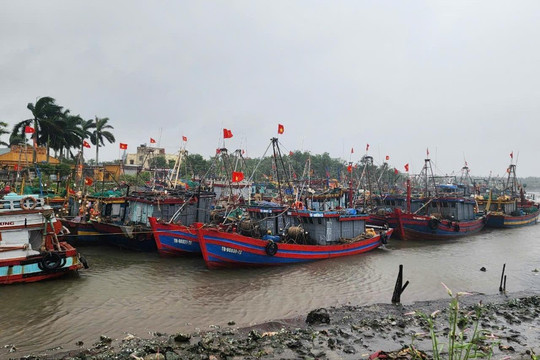 Thái Bình, Nam Định chủ động ứng phó bão số 3