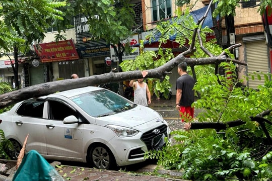 Hà Nội ghi nhận nhiều thiệt hại do bão số 3