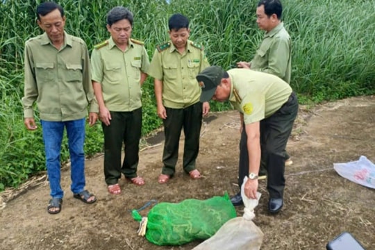 Thả hai cá thể động vật hoang dã về Vườn Quốc gia U Minh Hạ