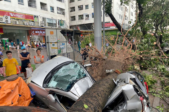 Bảo hiểm ô tô bị hư hại do thiên tai thế nào