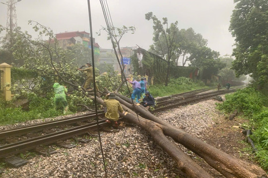 Đã khôi phục tuyến đường sắt Bắc-Nam