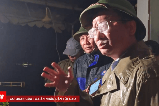 Quảng Ninh: Toàn tỉnh mất điện, thiệt hại nặng nề về tài sản