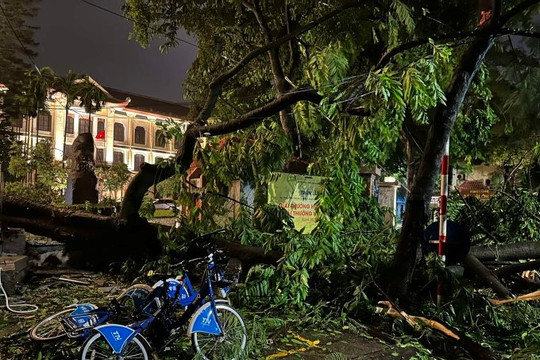 3 người tử vong, nội thành Hà Nội không có điểm ngập úng