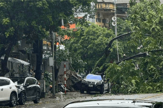 Hà Nội thiệt hại nặng nề sau bão số 3
