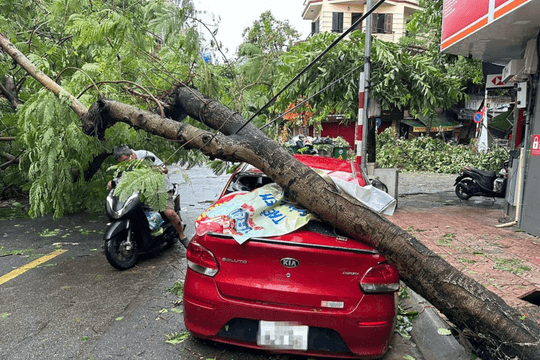 Trường hợp nào ô tô bị hư hại do thiên tai sẽ được hưởng bảo hiểm?