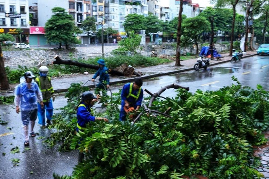 Bão số 3 suy yếu thành áp thấp