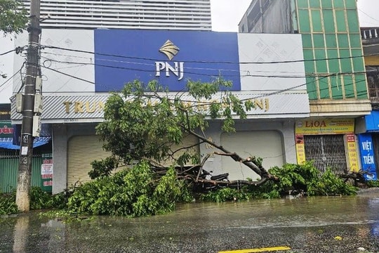 Hải Dương chịu thiệt hại nặng nề do bão Yagi