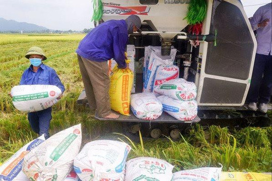 Khẩn trương cung cấp lương thực, nhu yếu phẩm cho người dân bị ảnh hưởng bão số 3