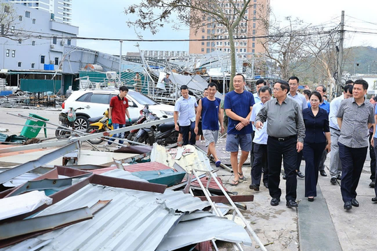 Nhanh chóng thẩm định và giải quyết quyền lợi bảo hiểm cho khách hàng bị thiệt hại do bão