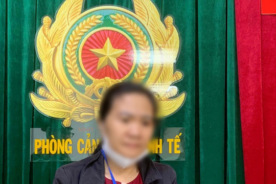 Khởi tố, bắt giam nữ kế toán làm khống tờ khai, chiếm đoạt 945 triệu đồng