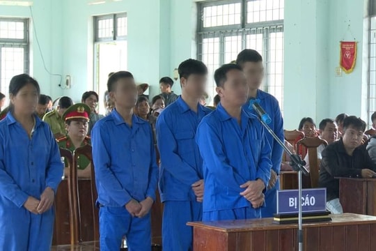 Khai thác lâm sản trái phép, nhóm đối tượng lĩnh án