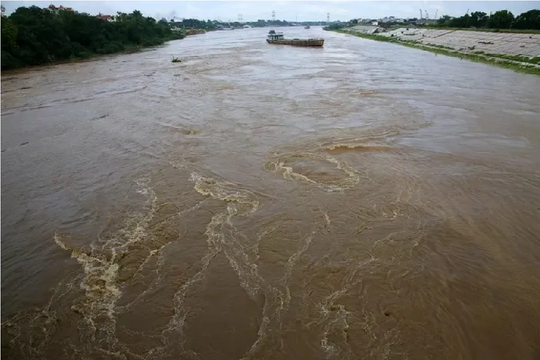 Hà Nội: Báo động lũ cấp 1 trên sông Hồng, sông Đuống