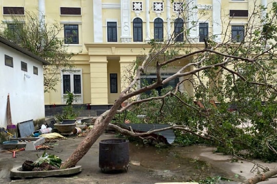 TAND hai cấp TP. Hải Phòng thiệt hại sau bão